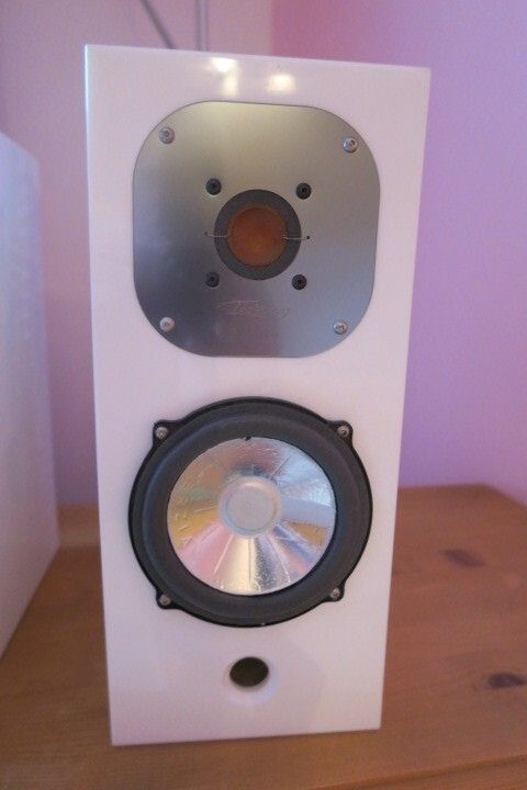 2 Lautsprecher von Intonation - Modell Terzian