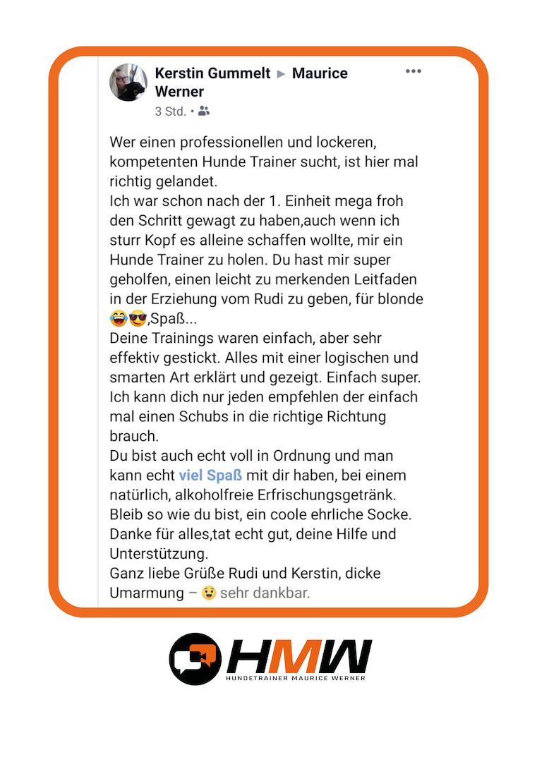 Professionelles Hundetraining – Persönlich oder auch via Video