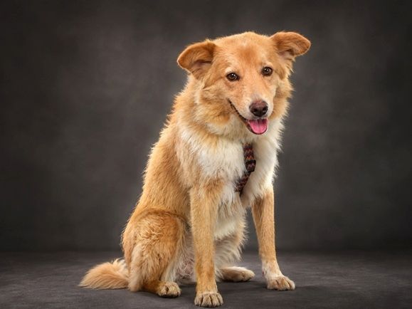 Jani - ein Sonnenschein