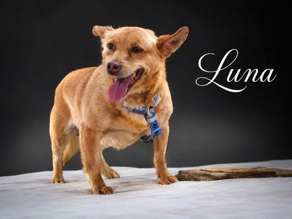 Luna - Dame in den besten Jahren