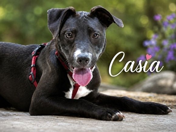 Casia - kleine Entdeckerin