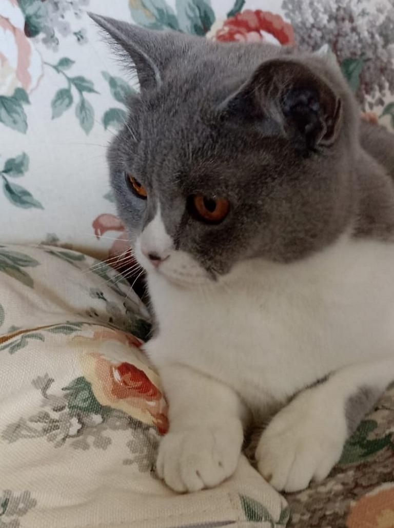 Ein Herzensplatz für unsere „Trudy“ gesucht