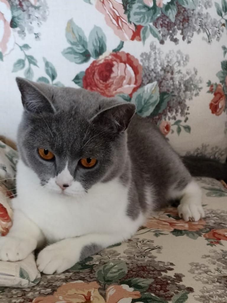 Ein Herzensplatz für unsere „Trudy“ gesucht