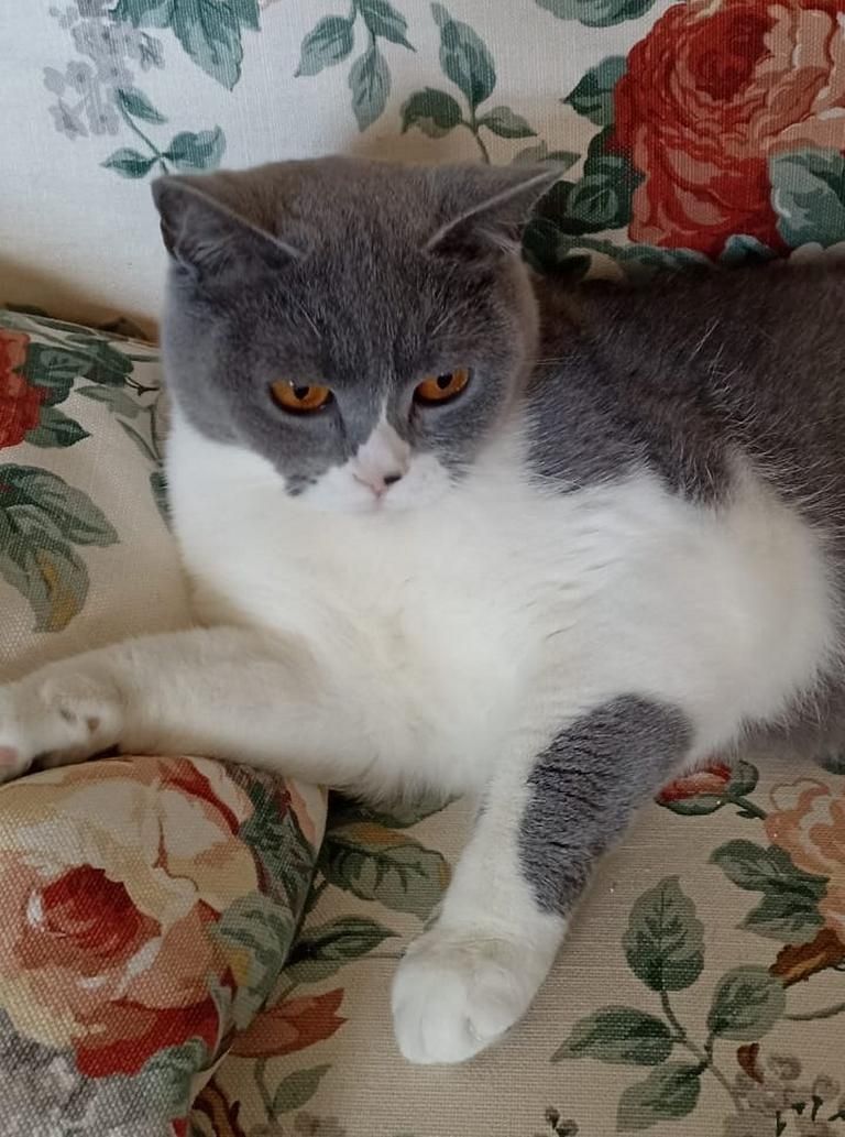 Ein Herzensplatz für unsere „Trudy“ gesucht