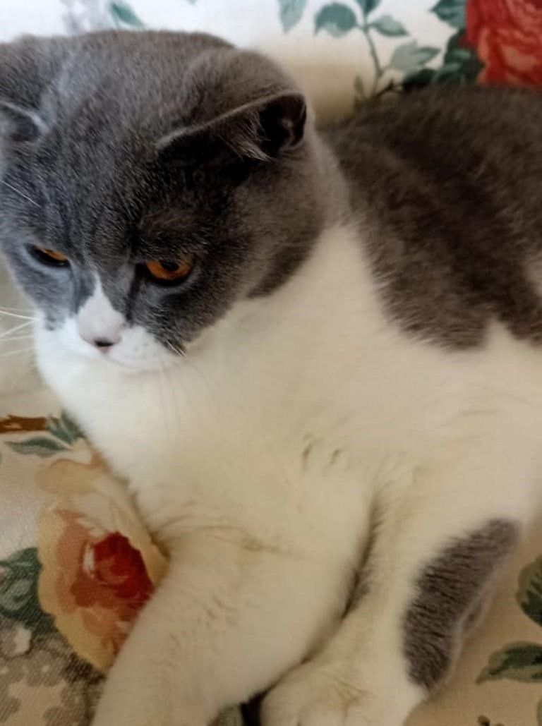 Ein Herzensplatz für unsere „Trudy“ gesucht