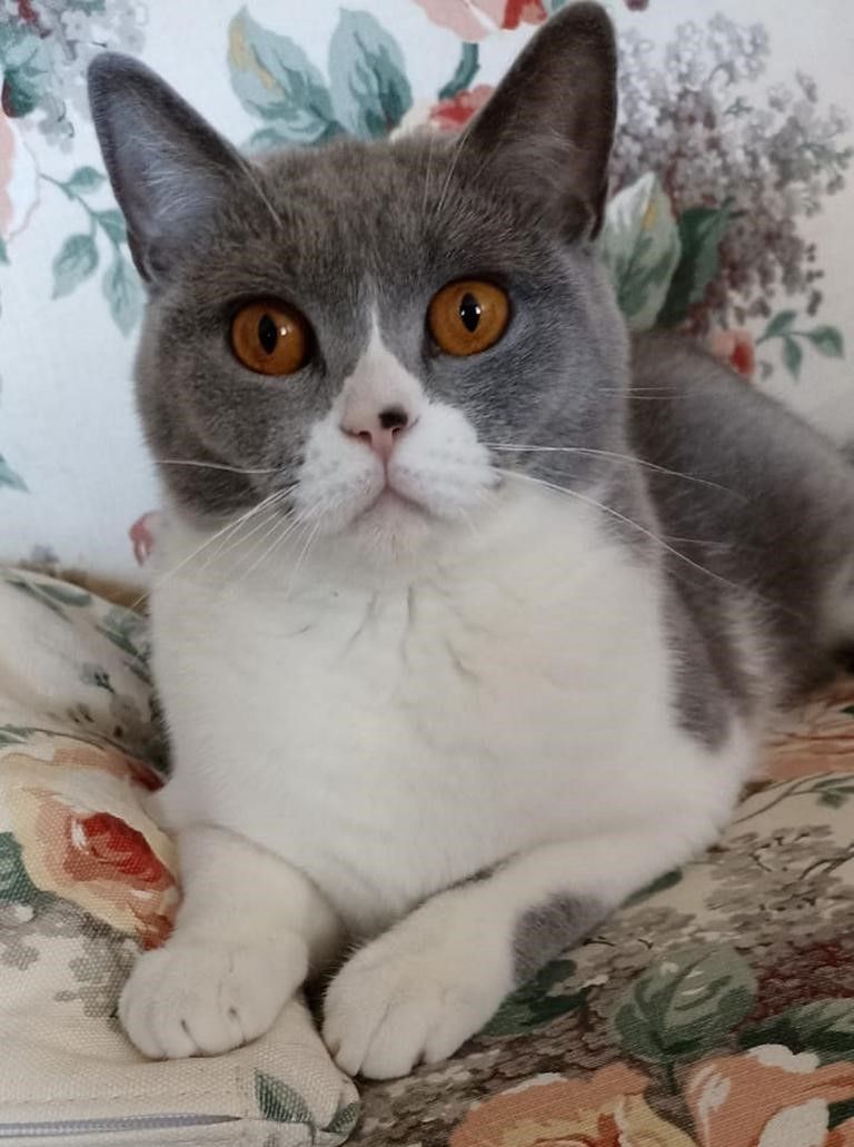 Ein Herzensplatz für unsere „Trudy“ gesucht