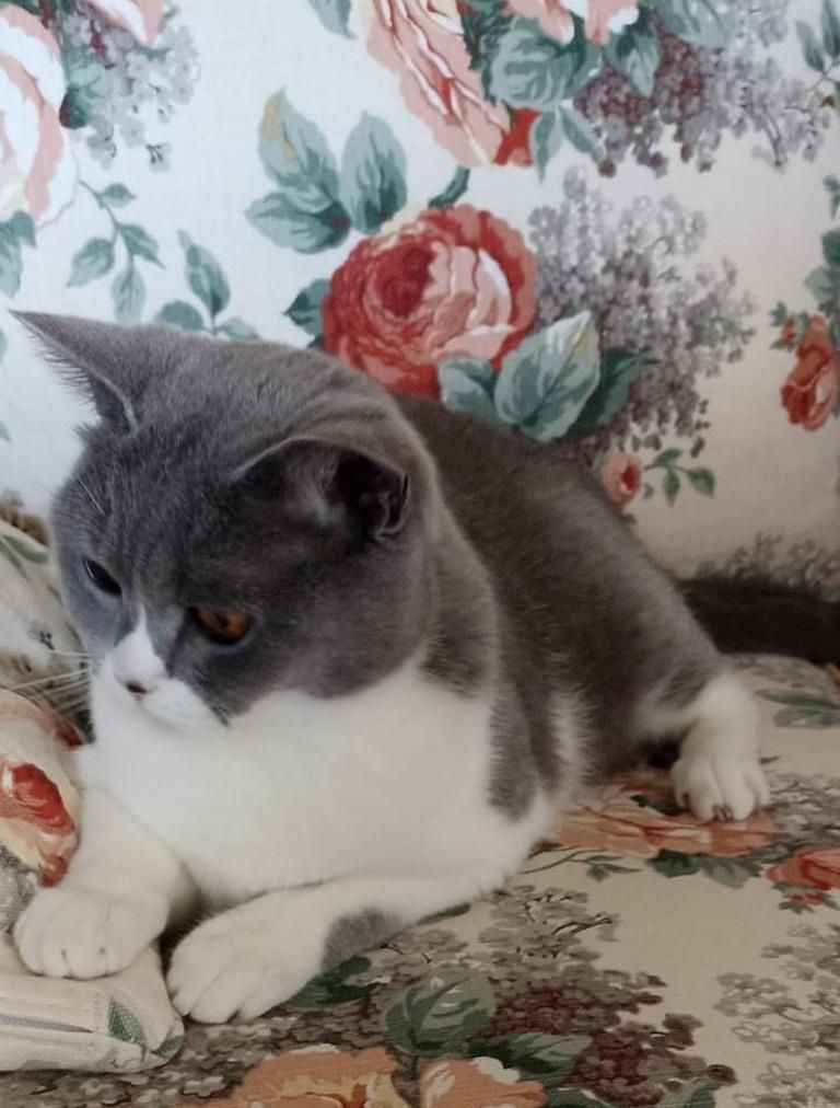 Ein Herzensplatz für unsere „Trudy“ gesucht