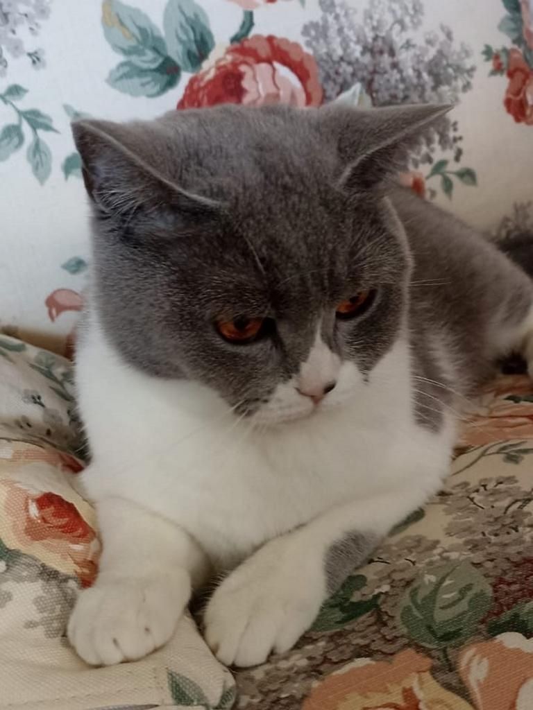 Ein Herzensplatz für unsere „Trudy“ gesucht