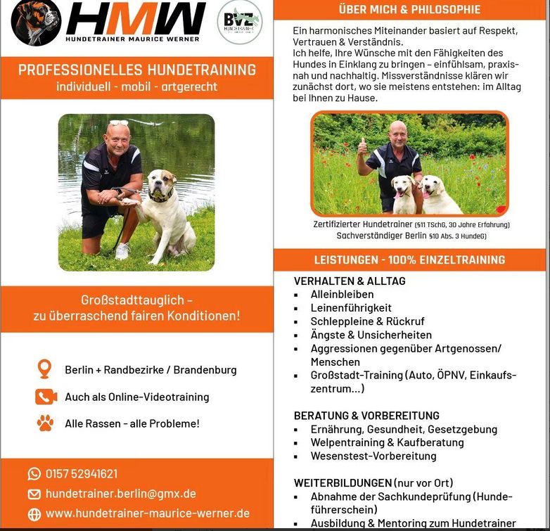 Professionelles Hundetraining via Video oder Persönlich