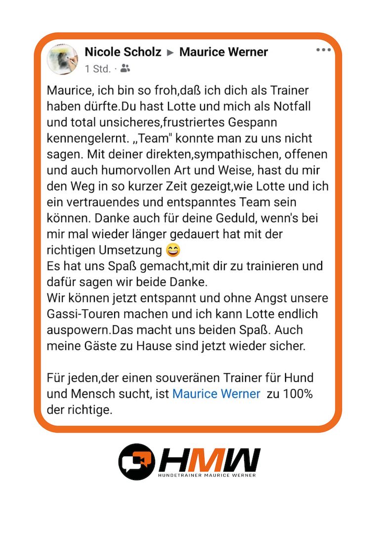 Professionelles Hundetraining via Video oder Persönlich
