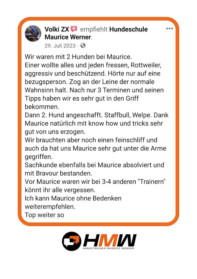 Professionelles Hundetraining via Video oder Persönlich