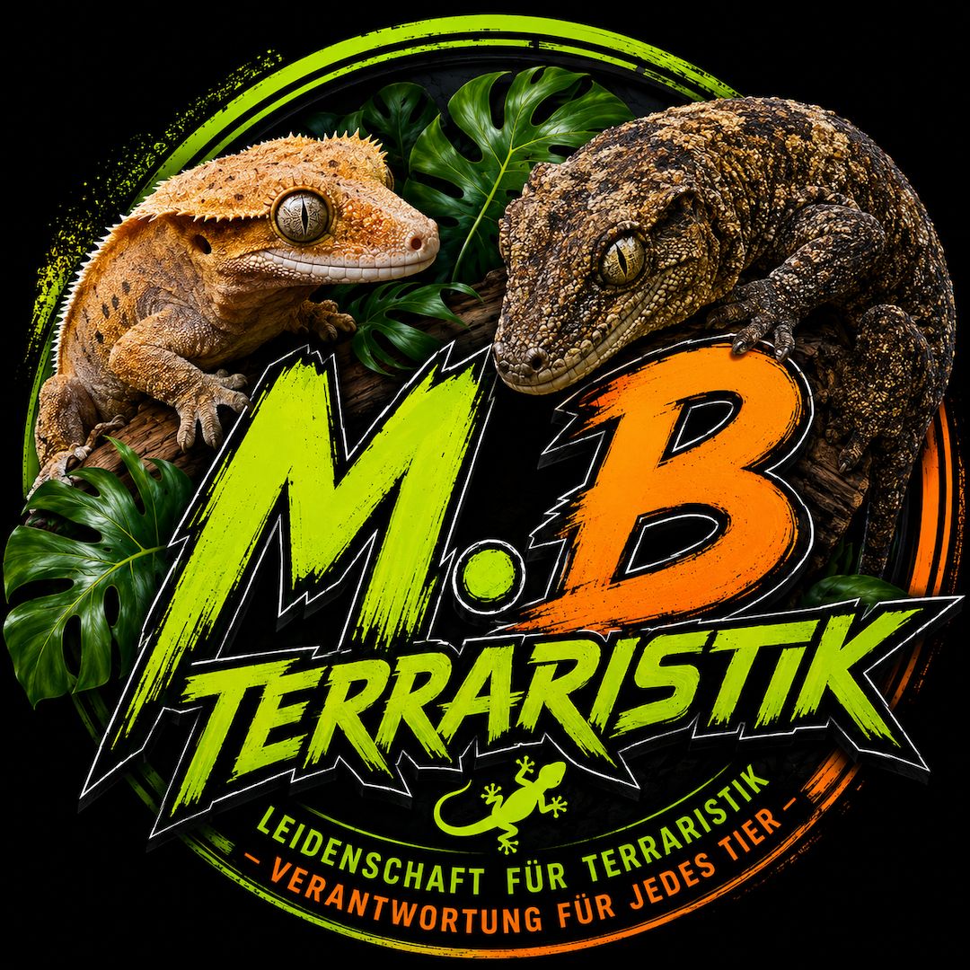 Correlophusciliatus Kronengecko