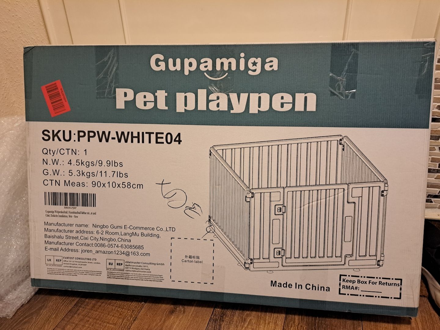 Pomeranian Hündin Tricolor