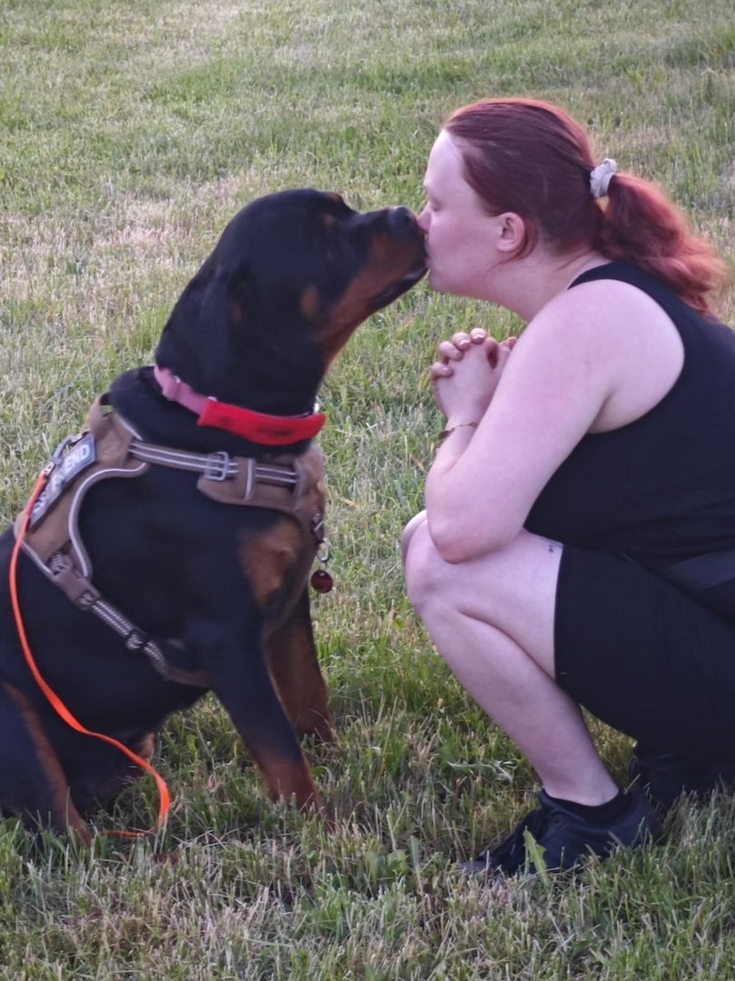 Rottweiler Hündin sucht für immer zuhause