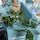gerlinde0103-grossmann Profilbild