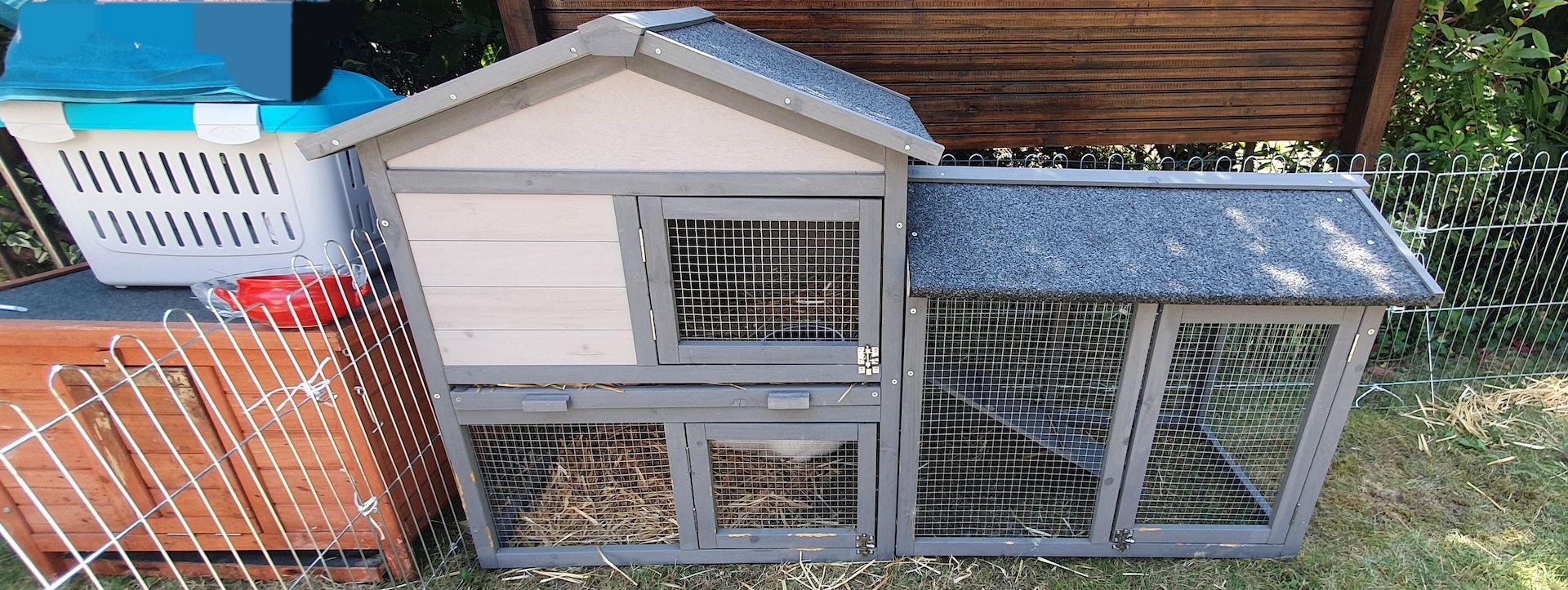 2 Kaninchen mit Käfigen, Freilaufgehege & viel Zubehör – gemeinsam oder einzeln abzugeben
