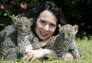 Tiger- und Löwenbabys zu verkaufen