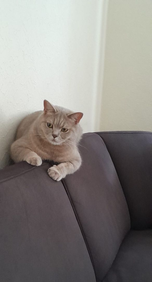 BKH-KATER