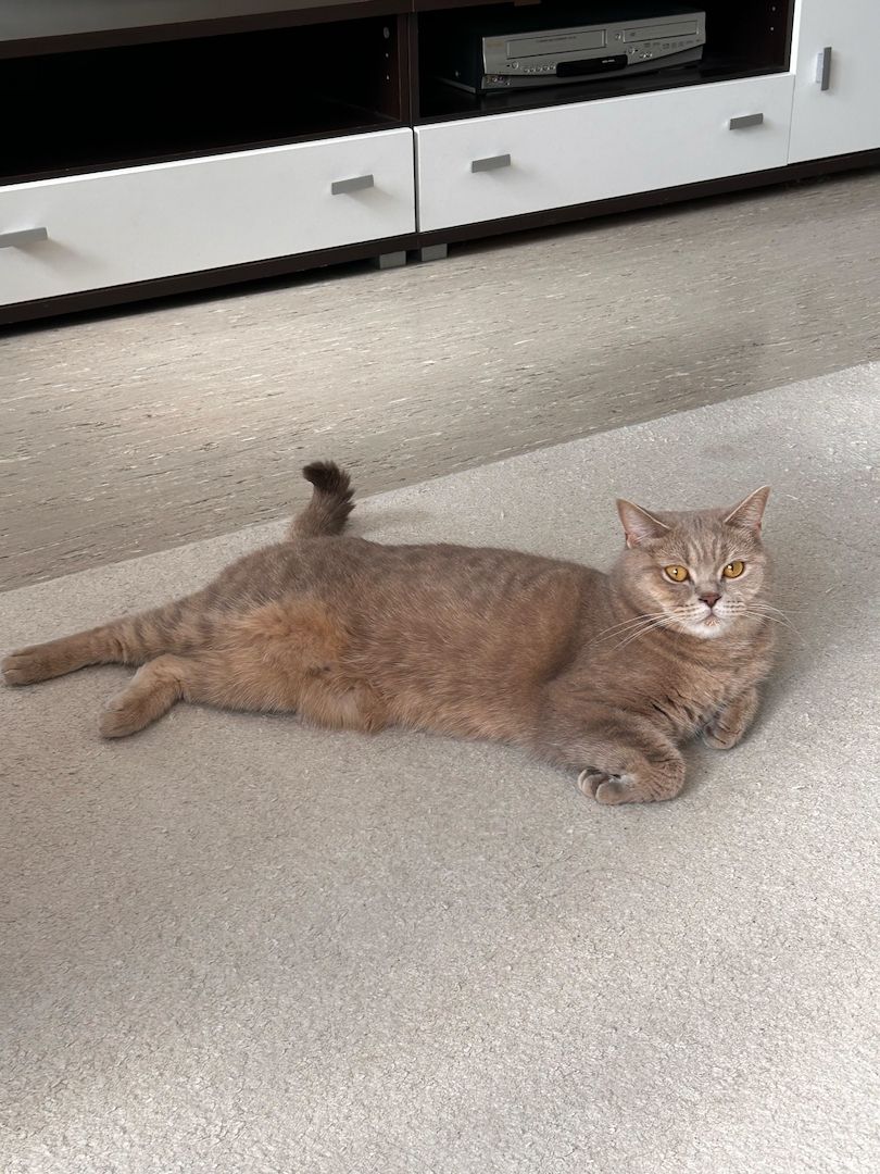 BKH-KATER