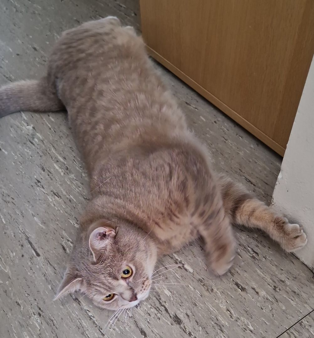 BKH-KATER