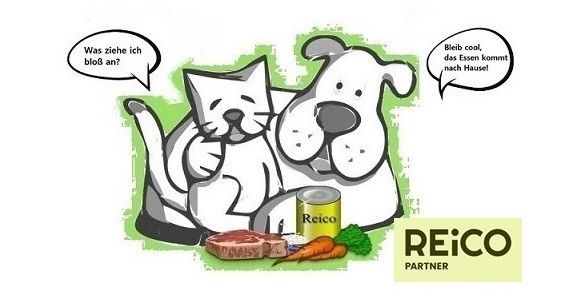 Kostenloser Futtercheck – passt das Futter wirklich zu deiner Katze?