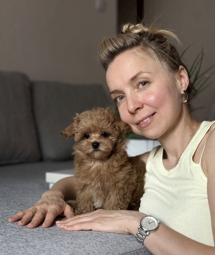 Gesunde Maltipoo-Welpen suchen ein neues Zuhause.