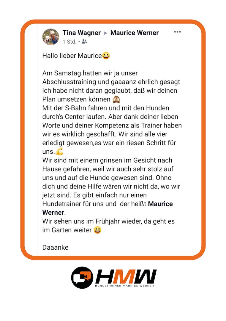 Professionelles Hundetraining – Persönlich oder auch via Video