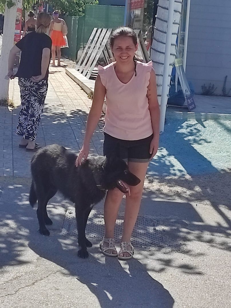 Schäferhund sucht neues Zuhause