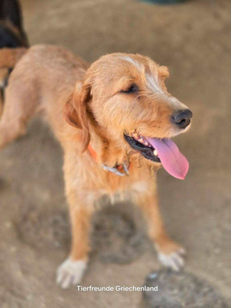 Mateo