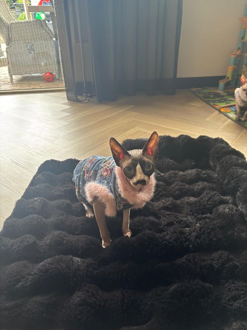 Charlotte sucht ein liebevolles neues Zuhause