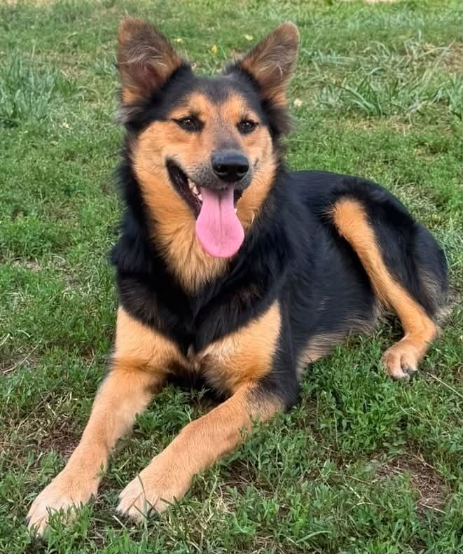 Nala - hat einen bezaubernden Charakter