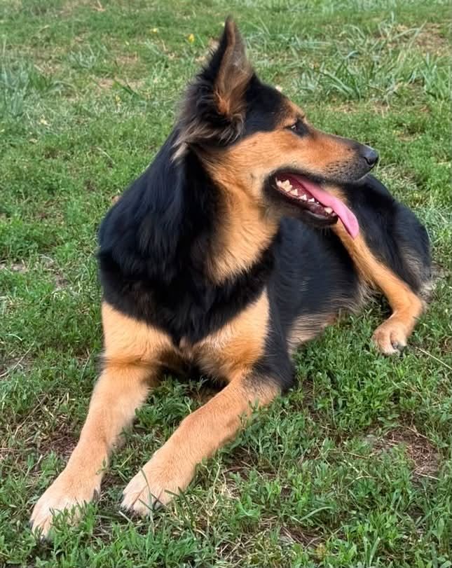 Nala - hat einen bezaubernden Charakter