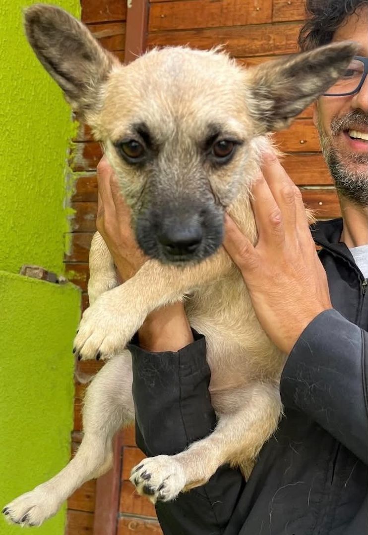 Ruby - meine Schwester hat bereits ein Zuhause