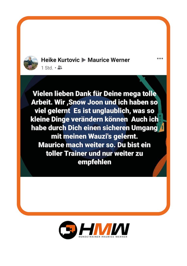 Professionelles Hundetraining – Persönlich oder auch via Video