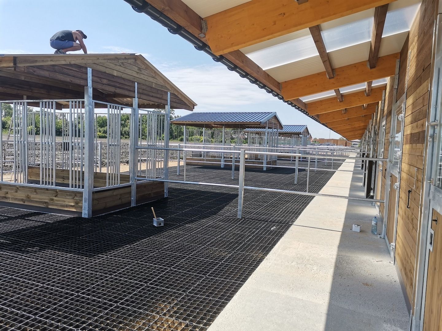 Heuraufe für Pferde | Futterplatz für Weide & Paddock | Pferderaufe
