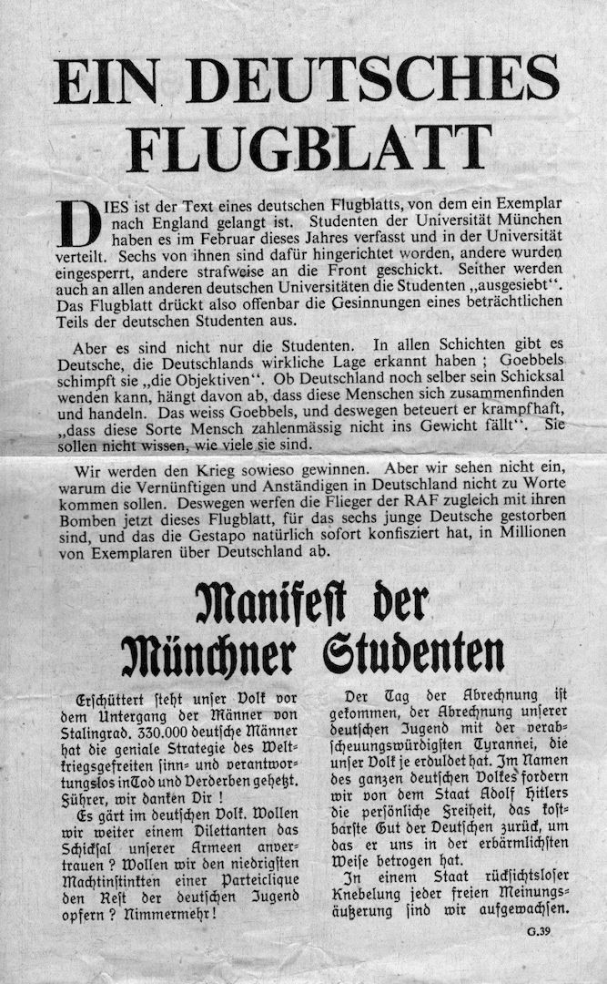 Weisse Rose - Dauer - Ausstellung, weltweit einzigartig und einmalig (Schenkung)