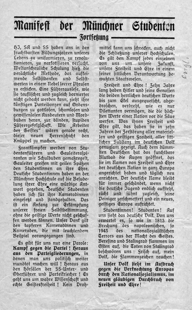 Weisse Rose - Dauer - Ausstellung, weltweit einzigartig und einmalig (Schenkung)