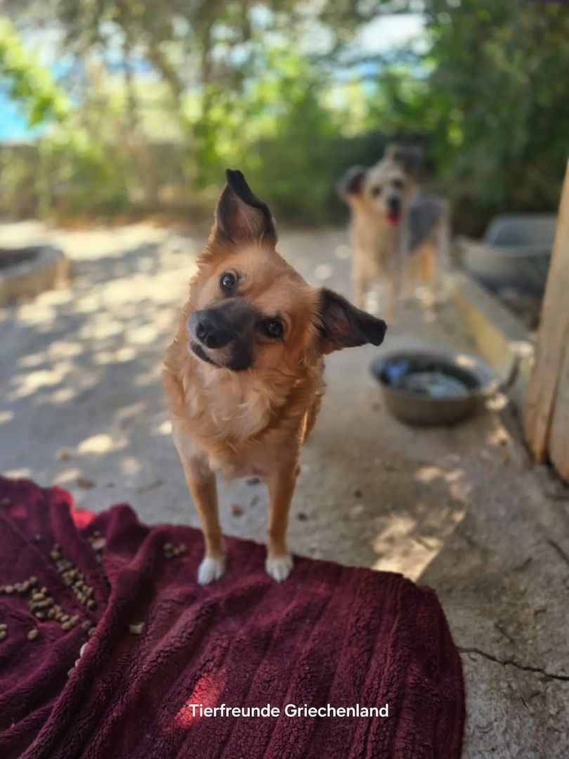 Bella