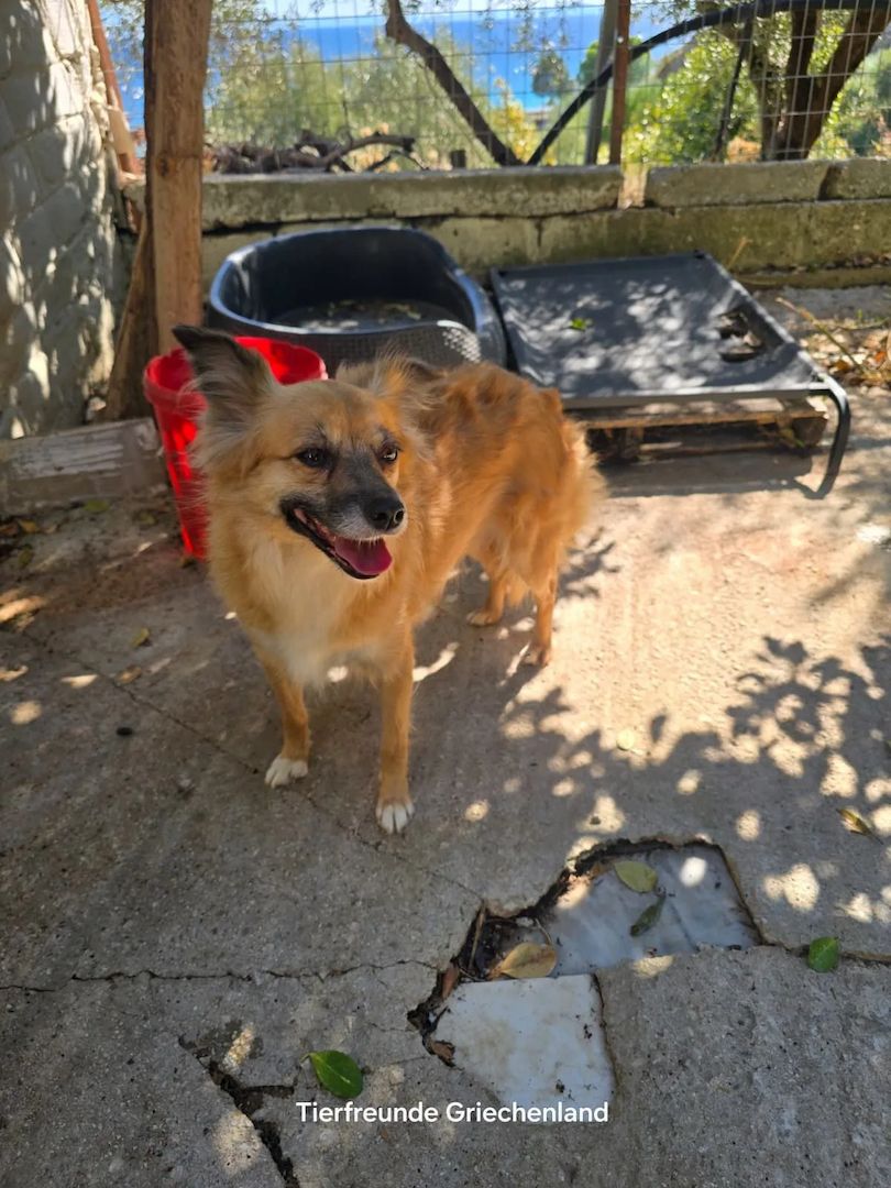 Bella