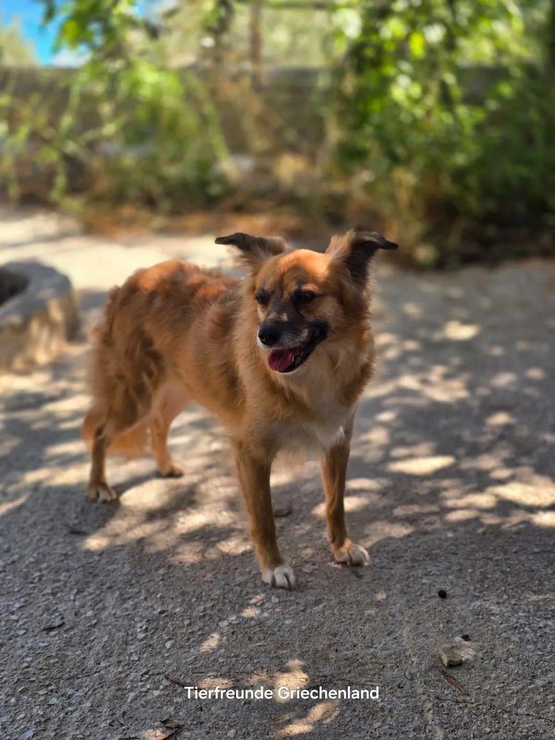Bella