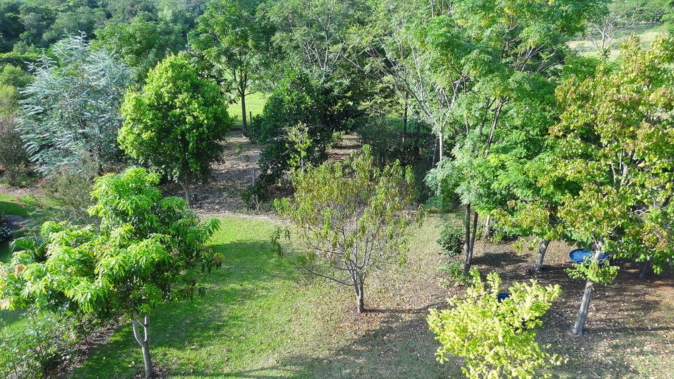 Finca mit großem Grundstück in ruhiger Lage in Sapucai / Paraguay