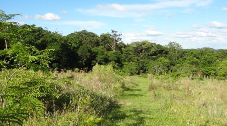 Finca mit großem Grundstück in ruhiger Lage in Sapucai / Paraguay