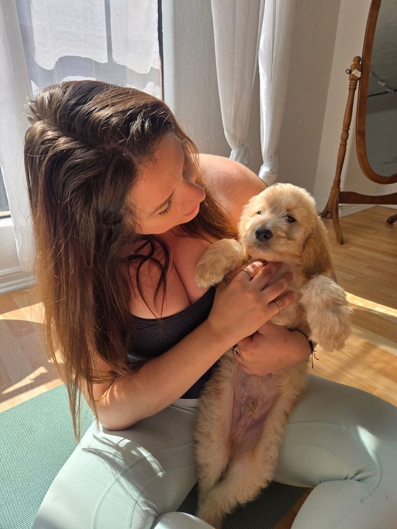 Wunderschöne Golden-Retriever-Welpen suchen ein liebevolles neues Zuhause