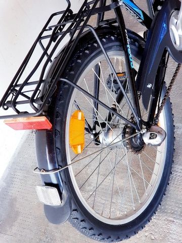 Pegasus Jugendfahrrad 24 Zoll 7-Gang Shimano Nabenschaltung Top