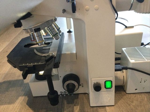 Zeiss Axioskop Diskussionsmikroskop