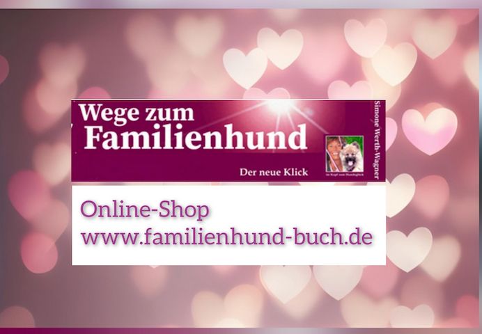 Buch Welpe, Hund, Mischling, Rasse