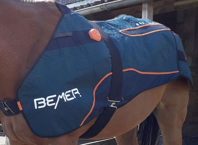 Bemer Horse Set Decke und Gamaschen