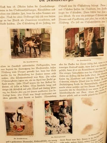 Sammelalbum ,,Auf Deutscher Scholle 1935er Jahre mit 268 Bildern