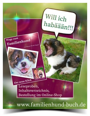 Buch Welpe, Hund, Mischling, Rasse