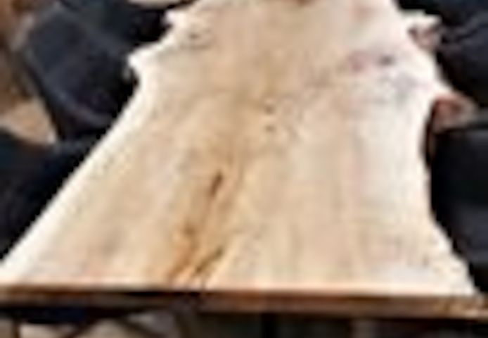 EINZIGARTIG - Esszimmertisch aus Pappelholz 160 bis 300cm